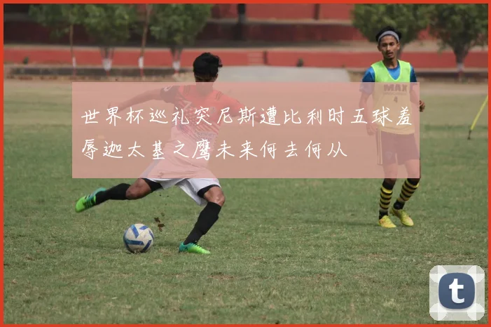 世界杯巡礼突尼斯遭比利时五球羞辱迦太基之鹰未来何去何从
